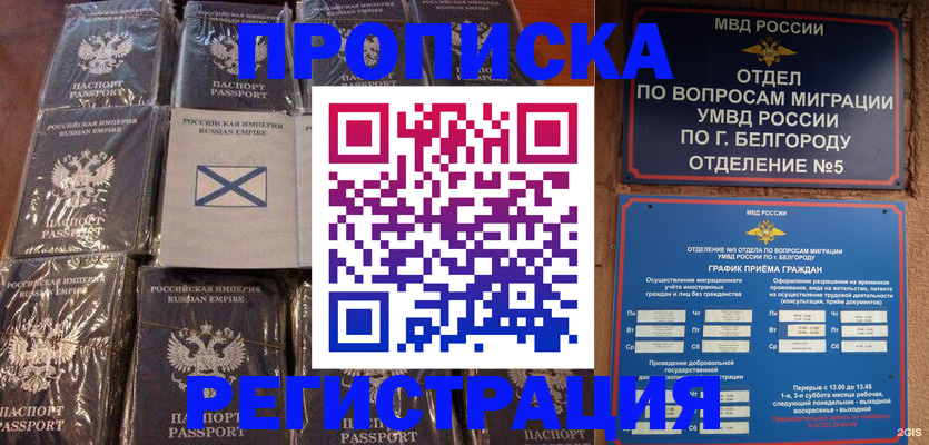 прописка гарантия в Черноголовке